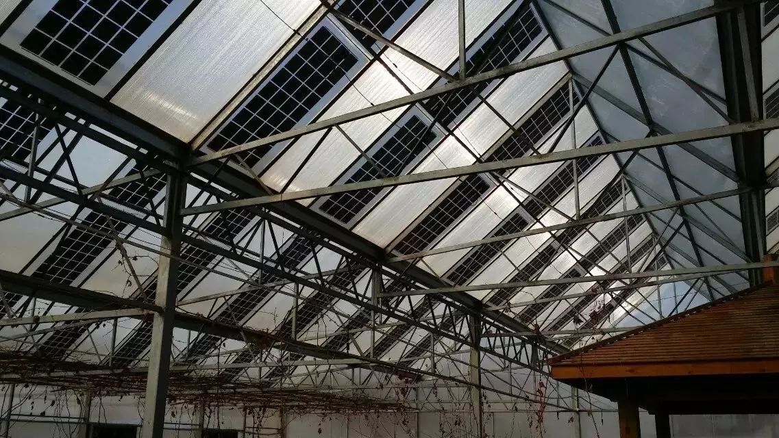 xc体育:山东男篮在亚洲联赛上战绩糟糕 凯撒尚存隐患(图4) xc体育