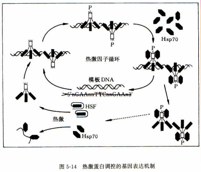 “xc sports”成都儿童患白癜风原因有什么(图3) xc体育