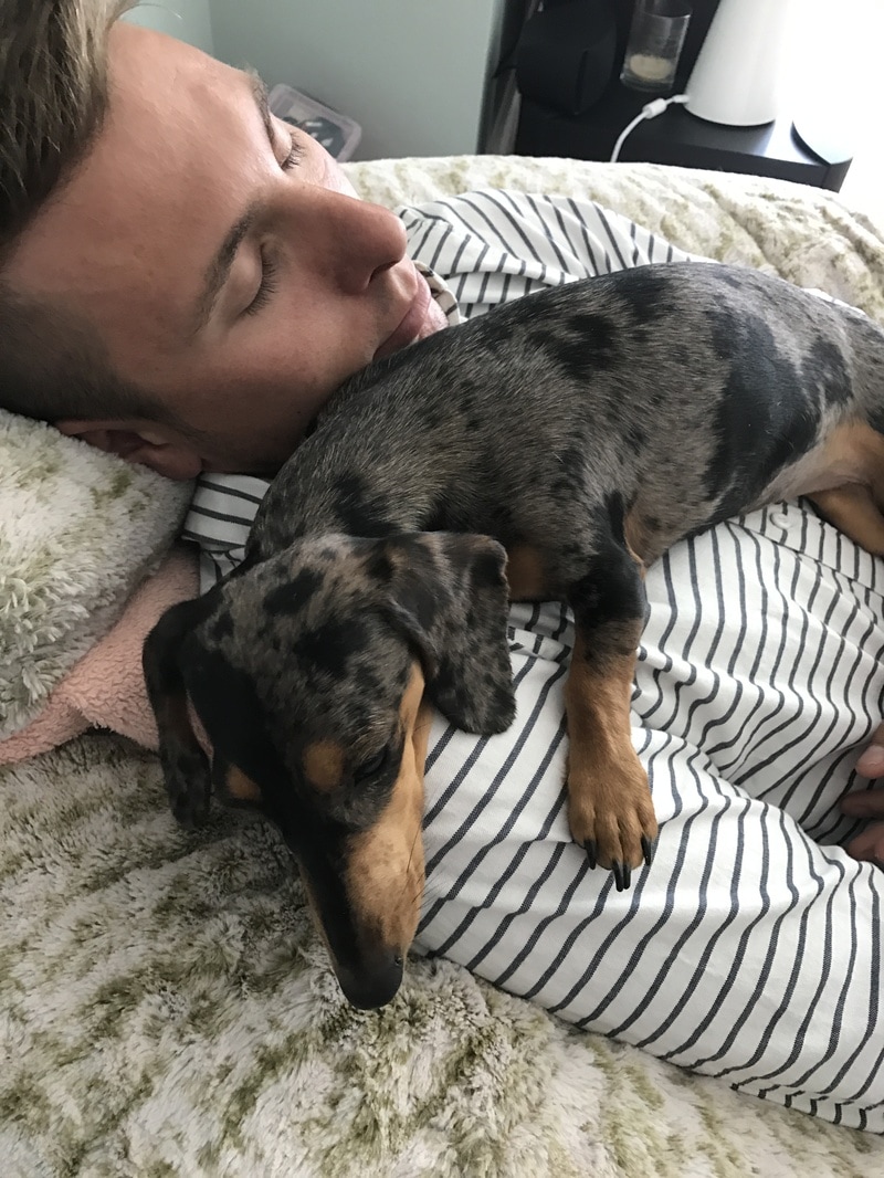 劲取的中兴:xc体育(图1) xc sports