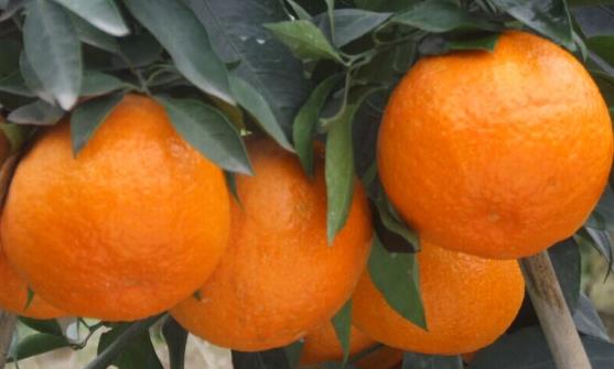 湿疹遇热痒是什么原因湿疹不断加重怎么办-xc sports