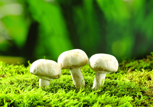 xc体育|2020年公共充电市场将超200亿元、比亚迪新能源累计产销超70万辆(图4) xc sports