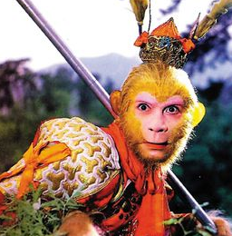 xc sports-气血不足对人体的伤害是哪些哪些调养对健康好(图1) xc体育