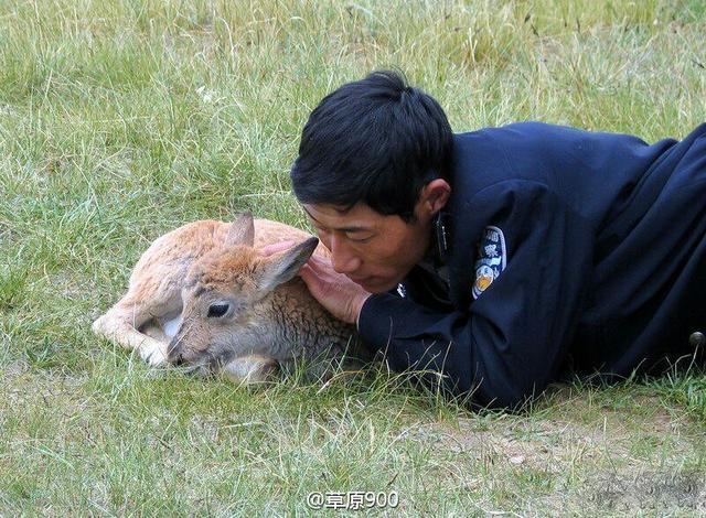 动物类中蛋白质哪种肉更好营养学家告诉你‘xc体育’(图1) xc sports