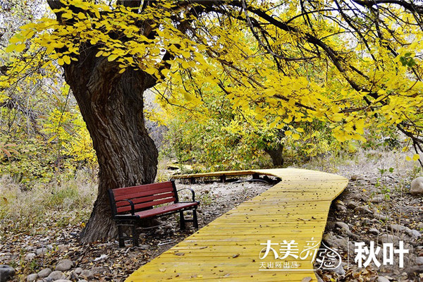 【xc sports】郭士强回应杰克逊“5打8”言论:我听不懂英语(图3) xc体育