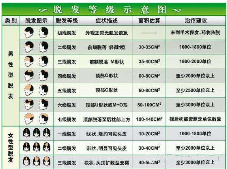 最美篮球女裁判意外走红 朱洪谦是哪所学校的?:xc sports(图3) xc sports