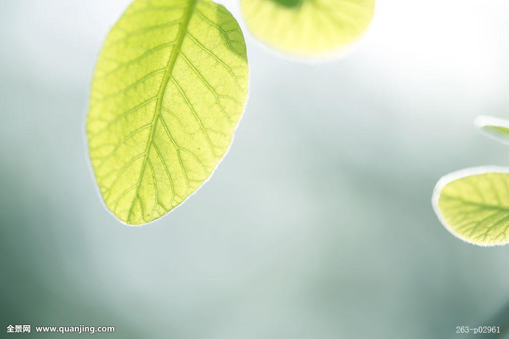 高雄无人巴士先上路游玩观光好惬意‘xc体育’(图1) xc sports