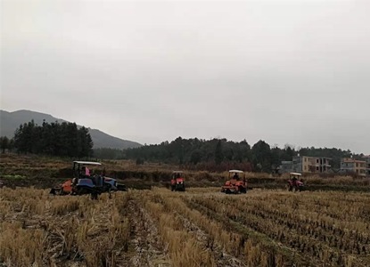 高雄无人巴士先上路游玩观光好惬意‘xc体育’(图3) xc sports