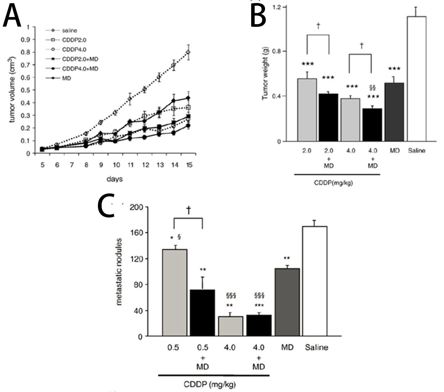 【xc体育】兰佩20+13顾全18分 深圳7人得分上双大胜吉林(图4) xc体育
