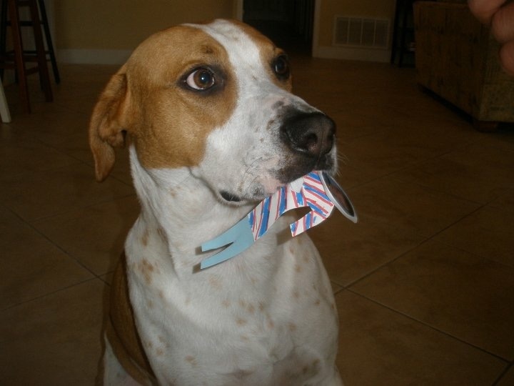 【xc体育】兰佩20+13顾全18分 深圳7人得分上双大胜吉林(图3) xc sports