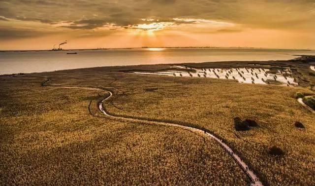 “xc sports”河南风湿费用低的医院提示护理类风湿的方式有哪些?(图3) xc体育