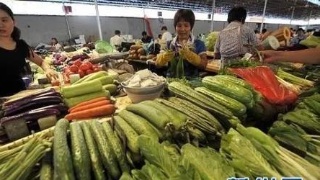 xc sports:怎样选择好的耦合剂?您知道吗?(图2) xc体育