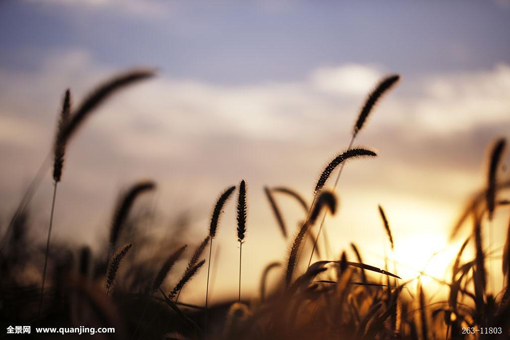 白内障都有什么症状-xc sports(图2) xc sports