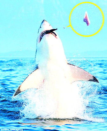 胡金秋28+15小丁空砍36分 广厦客胜山东总分2-1_xc体育(图2) xc体育