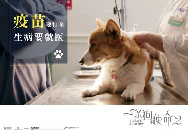 “xc体育”敢开暖风吗?电动汽车冬季使用调查(图2) xc sports