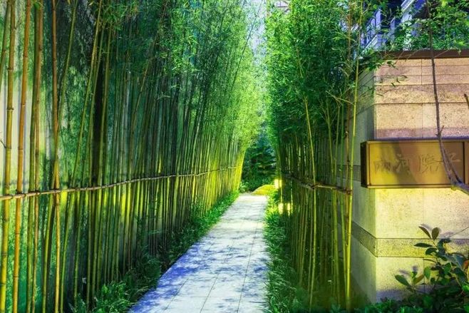 xc sports_女生初潮过后还能不能长高想长高营养要均衡